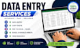 do accurate data entry, copy paste, web research, email leads,PDF to excl entry