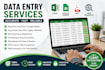 do accurate data entry and ms excel or google sheets work