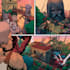 comic book illustration with comic book illustrator
