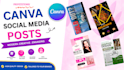 design professional canva social media posts,instagram posts and carousel