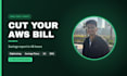audit your AWS bill and deliver a cost reduction report