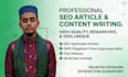 do SEO article writing, blog post writing, and professional web content writing