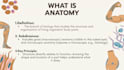 design professional canva presentations worksheets posters and study material