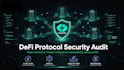 perform a professional defi protocol security audit