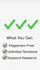 do SEO blog writing, article writing and copywriting