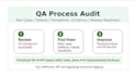 audit your QA process and deliver an improvement plan