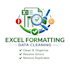 format, clean and organize excel spreadsheets