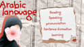 teach modern standard arabic
