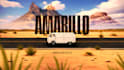 character animatin and motion graphics