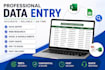 do accurate data entry, excel data entry, copy paste, web research