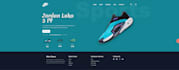 do website development, wordpress customizatio, shopify , ecommerce , wix