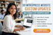 do wordpress website custom updates, make changes and edit wordpress website