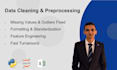 data cleaning and  preprocessing