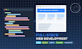 develop custom web applications using react, node and python