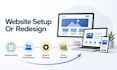 coordinate website setup or redesign coordination with reliable delivery