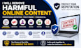 remove copyright,  infringing, defaming, harassing, false, leaked from internet