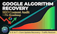 do a full ai SEO content audit google algorithm recovery plan for your website