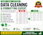 do excel data formatting