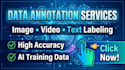 do data annotation, image labeling and ai training data preparation