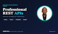 build a professional rest API with nodejs and swagger docs