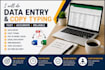 do data entry, copy paste, web research and excel work
