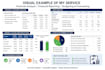 provide professional financial, financial reporting, budgeting,