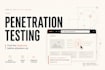 perform web application penetration testing