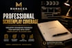 provide professional screenplay coverage with industry standard feedback