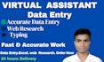 do accurate data entry in excel, web research and copy paste