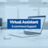 provide professional virtual assistant, data entry,