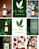 create luxury skincare and beauty infographics
