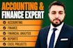 accounting and finance assigned, report writing financial analysis excel project