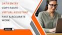 do data entry and copy paste