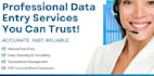 do data entry and logo designs