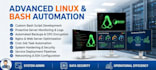 write bash scripts and server monitoring and automation