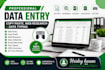 professional data entry, copy paste, web research and data typing