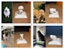 do 3d statue with pets,people