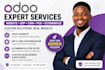 develop customize odoo website erp CRM pos ecommerce and fix design