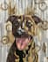 make custom pet portraits
