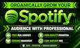 do spotify music promotion