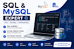 write sql queries, fix mysql errors, and design databases
