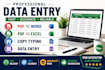 do data entry,pdf to word conversion,copytyping andexcelwork