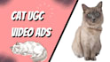 create authentic tiktok and reels ugc with my ragdoll cat