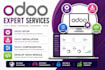 do odoo setup, odoo installation, odoo configuration and develop odoo module