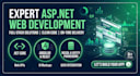 build custom asp dot net web app, angular react, sql server