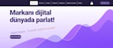 create a simple or professional website