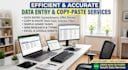 provide efficient data entry services