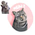 draw custom pet cartoon illustration