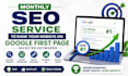 provide monthly SEO service to rank your website on google first page