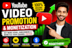 do organic video  promotion for channel optimization